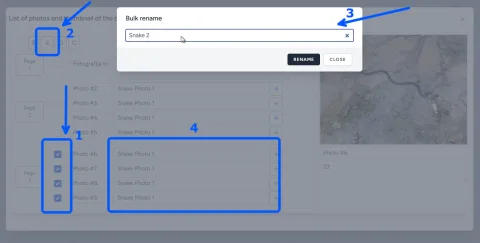 How can I add captions or annotate photos in a report?