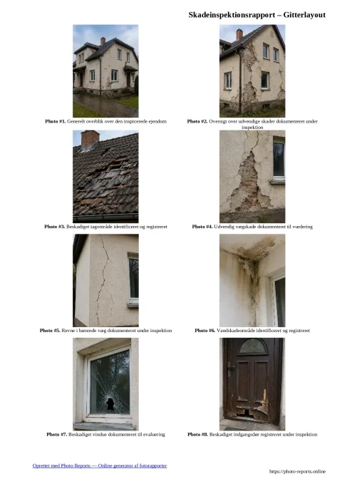 Skadeinspektionsrapport – Gitterlayout
