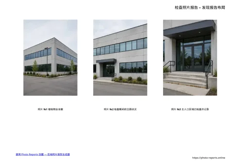 检查照片报告 – 发现报告布局